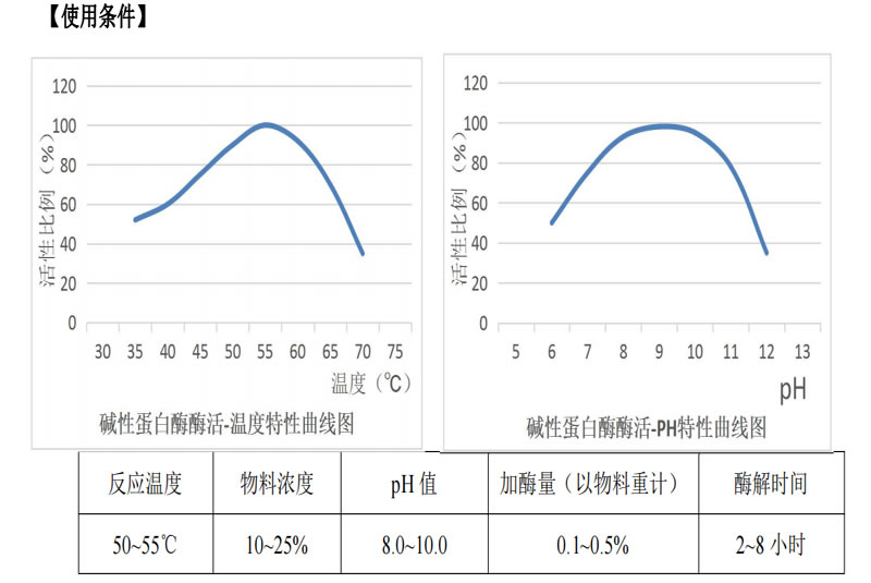 酶活力 