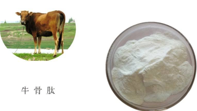 蛋白酶解技術(shù)助力牛骨蛋白酶解呈味肽品質(zhì)升級(jí)