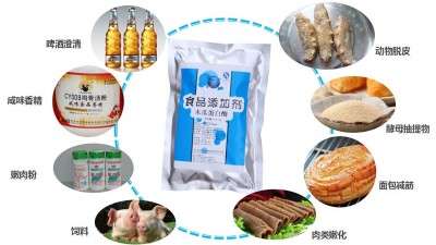 酶制劑在美味食品加工中的應(yīng)用